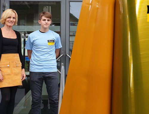 Neue Lehrlinge 2019
